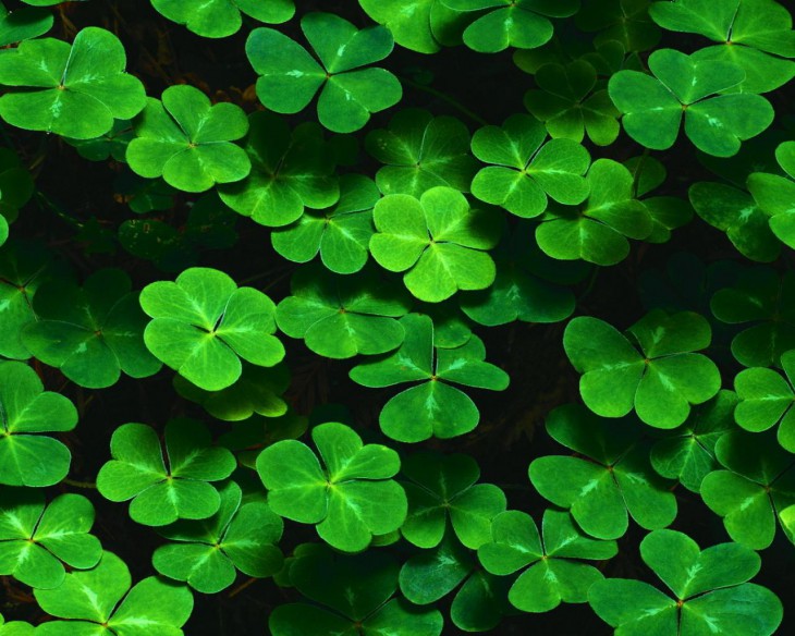 Удача — что это в науке