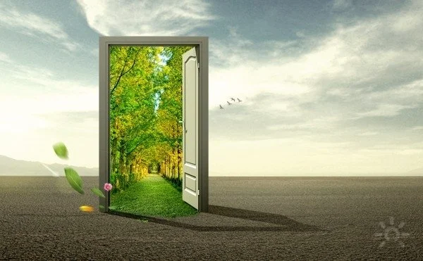 Топ-15 курсов по предназначению, которые помогут найти себя и состояться в жизни