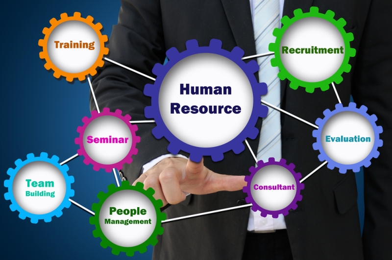 What are the Top Roles of Human Resource Management?