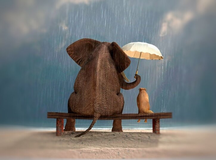 Что такое доброта?