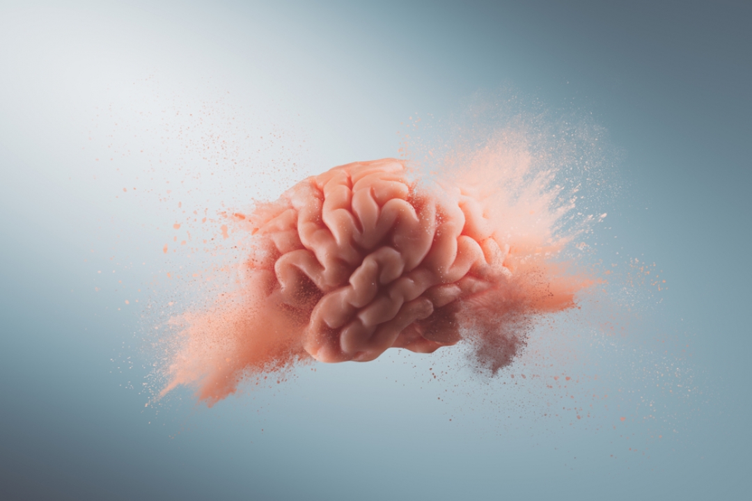 Что такое инстинкт?