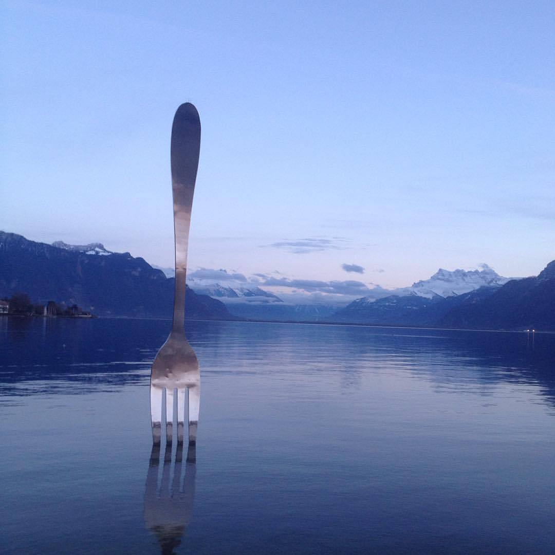 We Live in an Algorithmic Universe: Want to Understand What's Going on?