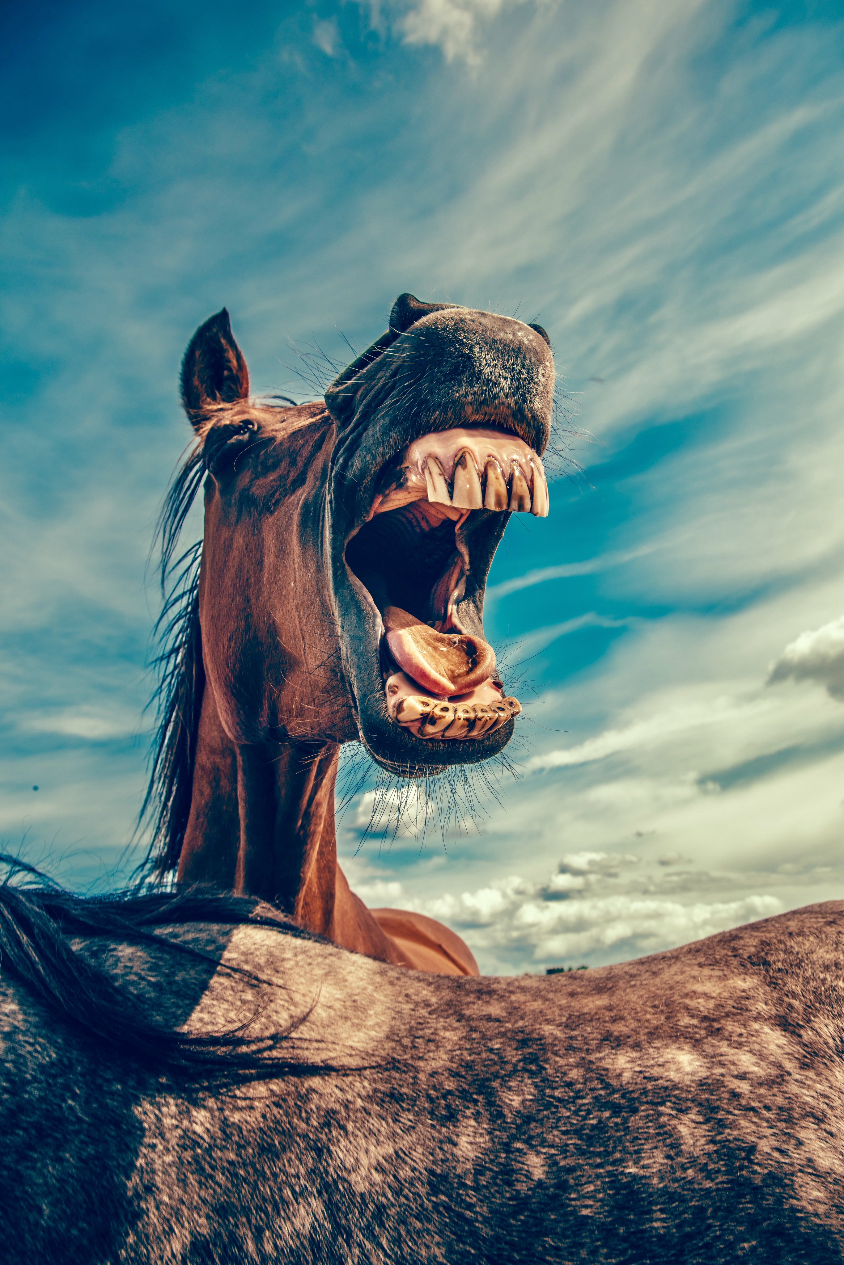 Самые популярные профессии в интернете в 2020 году.