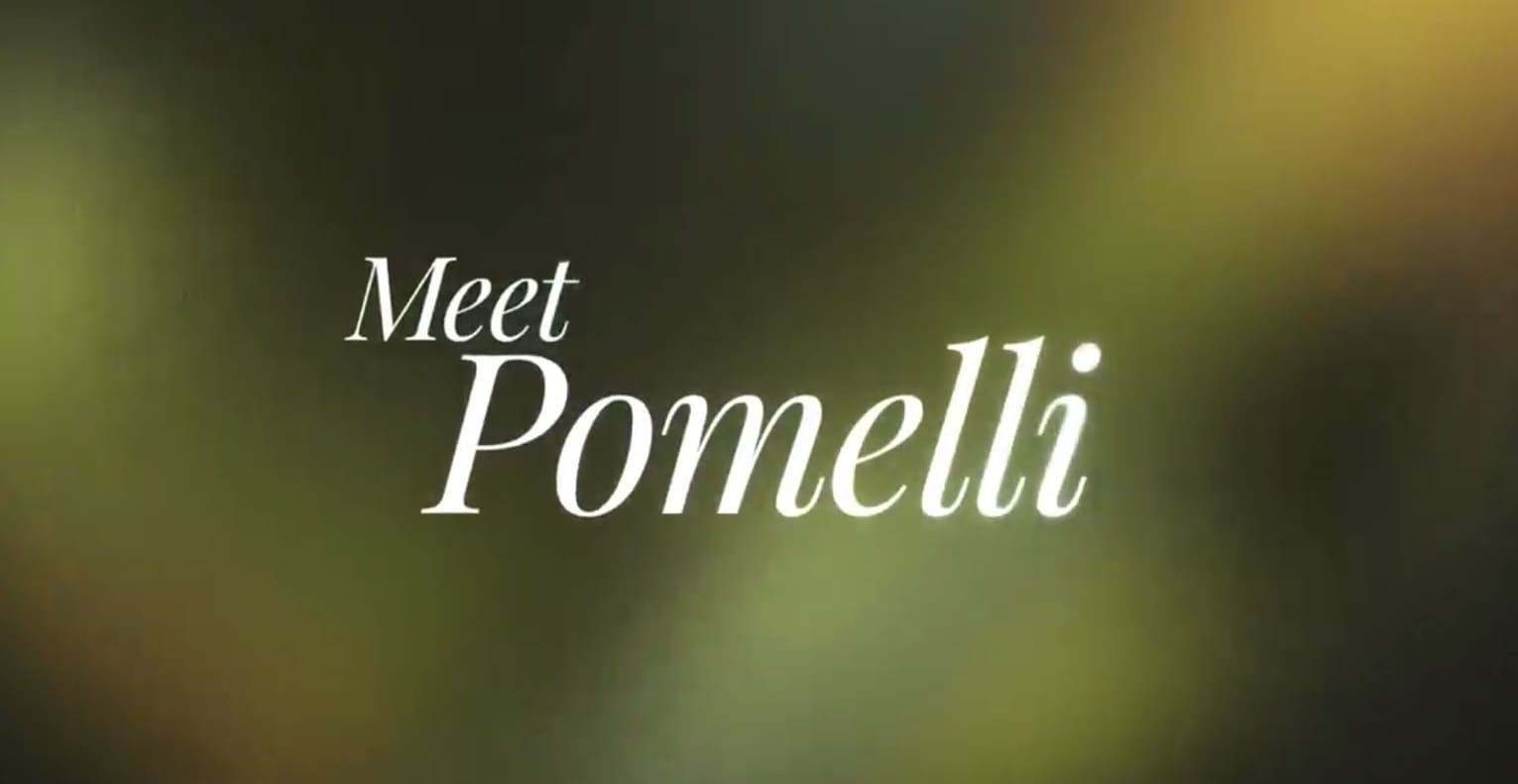 The Double-Edged Sword of AI: How Tech Giants Like Google Are Devouring Startups While Fueling Their Own Ad Empires