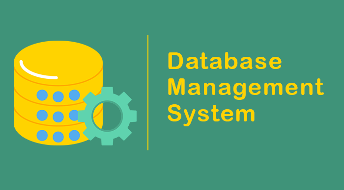 Pros And Cons Of Database Management System