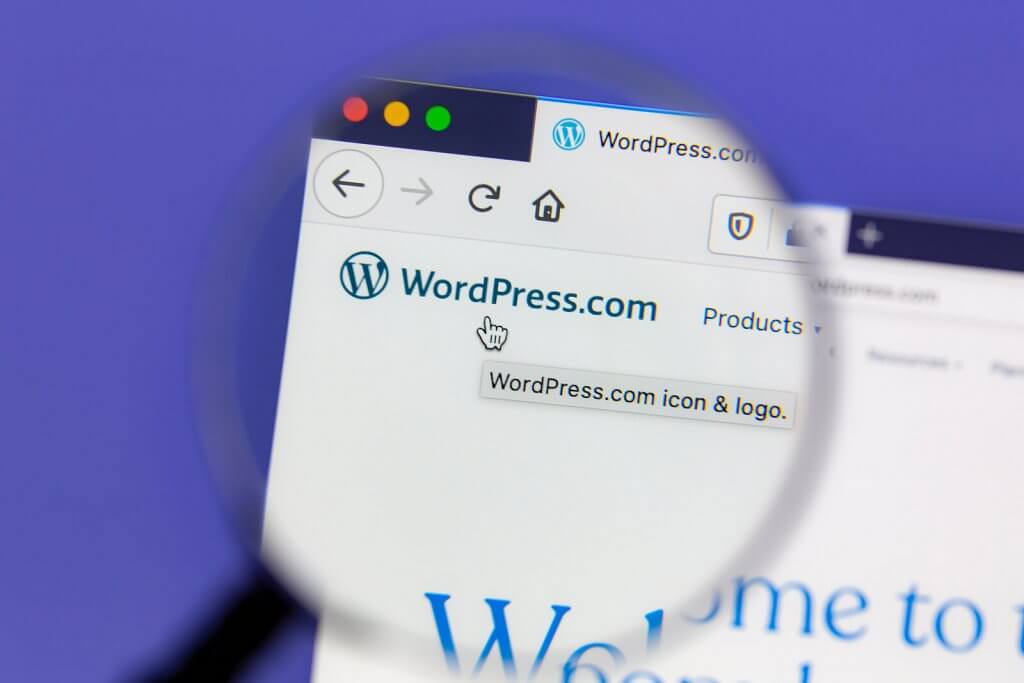 How To Get Start PPC In WordPress Website