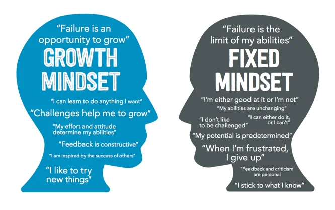Fixed vs Growth Mindset – Which is Better for Team Leaders?