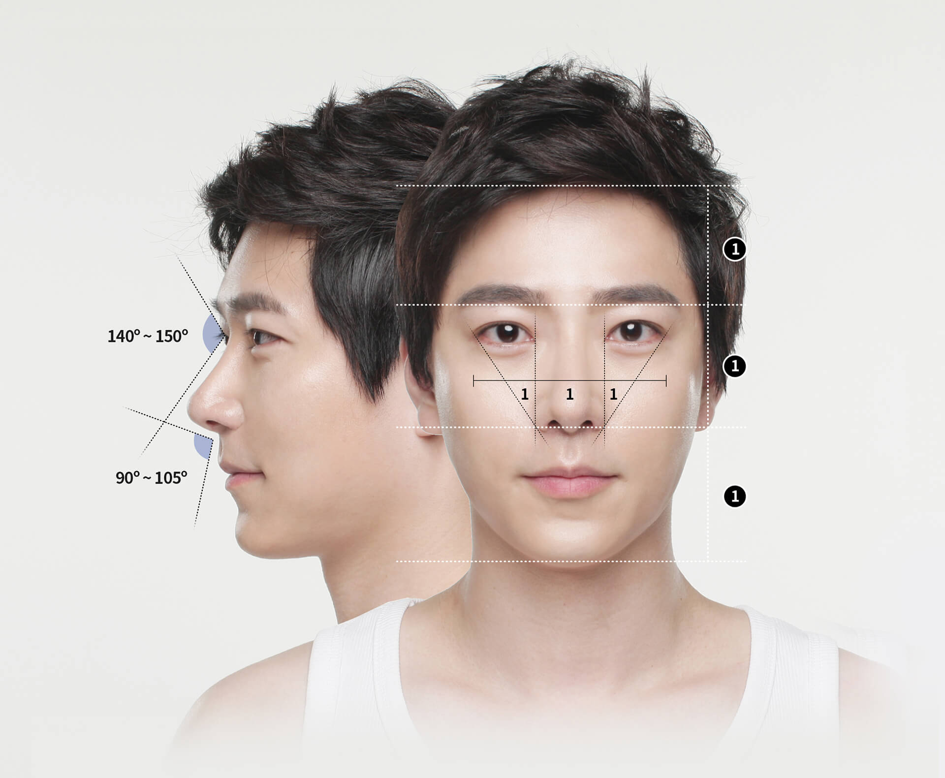 An Asian Nose And Its Aesthetic Concerns