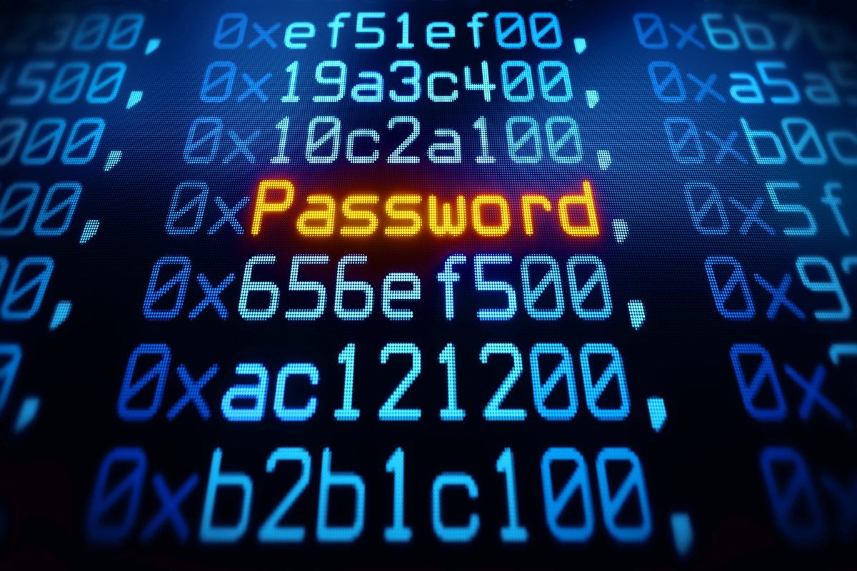 Passwords and Identification