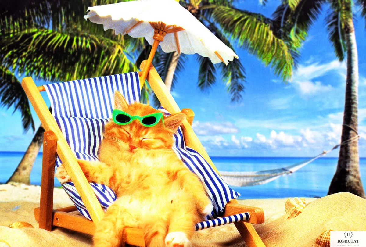 Что такое коворкинг и как на нем заработать