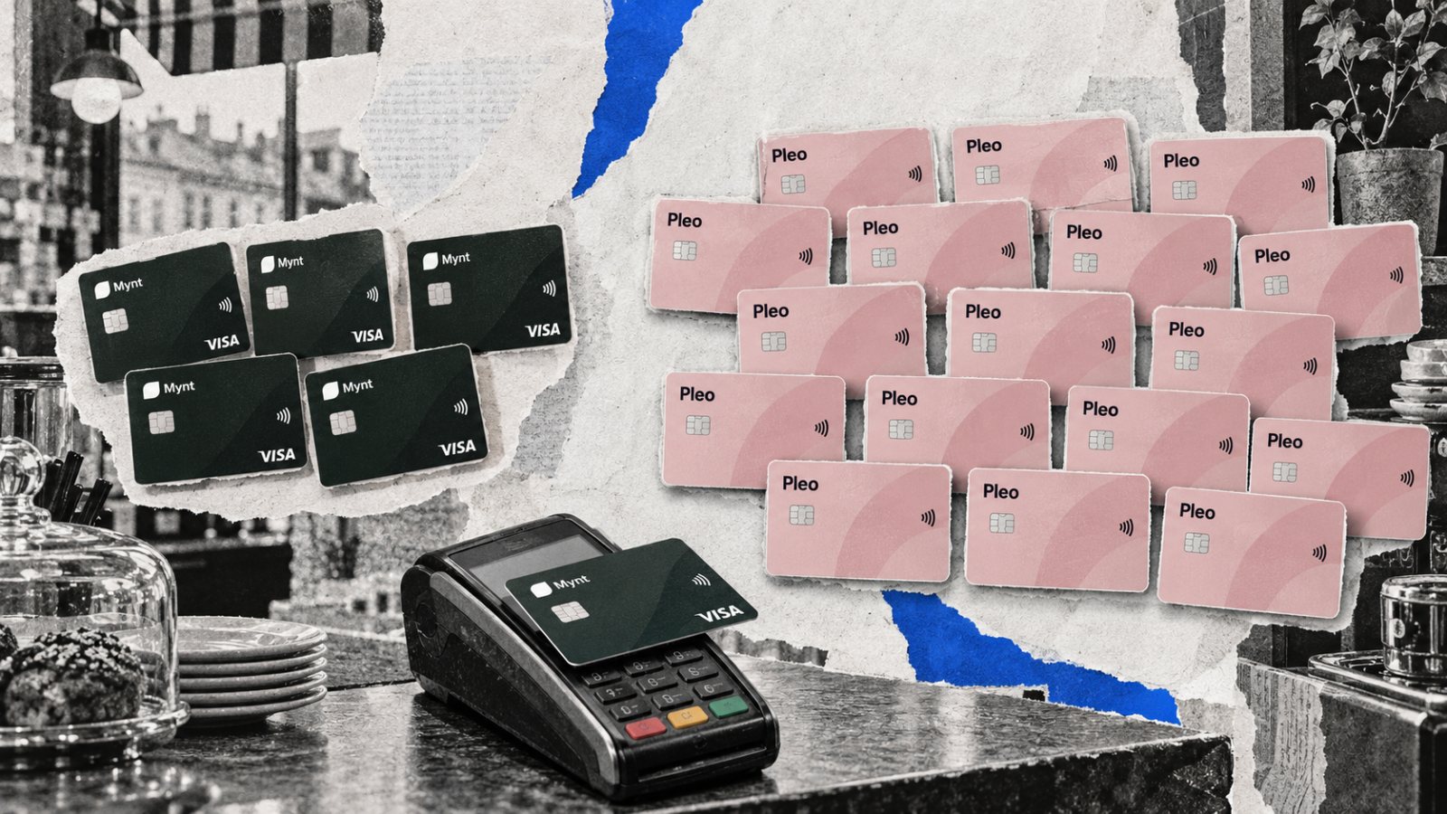Pleo eller Mynt: fem användare gör gratisplanen avgörande