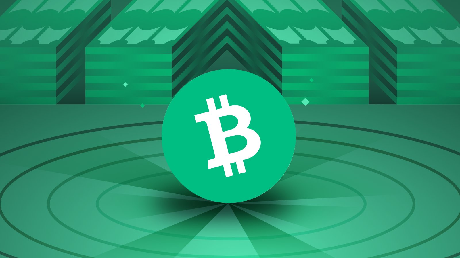 What Is Bitcoin Cash: How it Started?