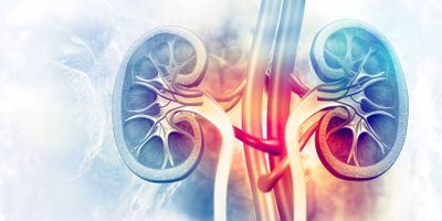 Understanding the Basics of Assessing a Patient for Kidney Transplant