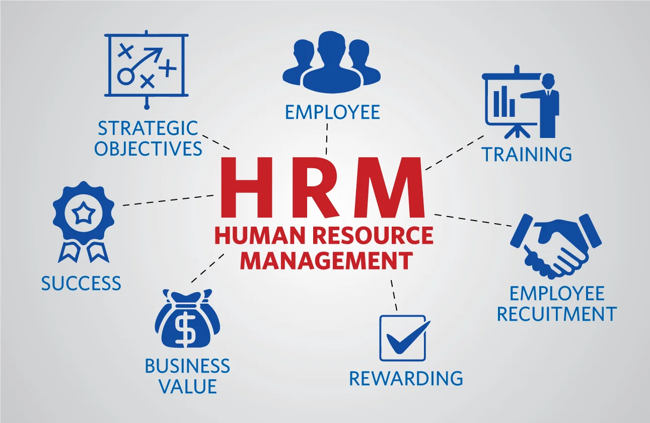 AI’s Potential to Improve Human Resource Management (HRM)