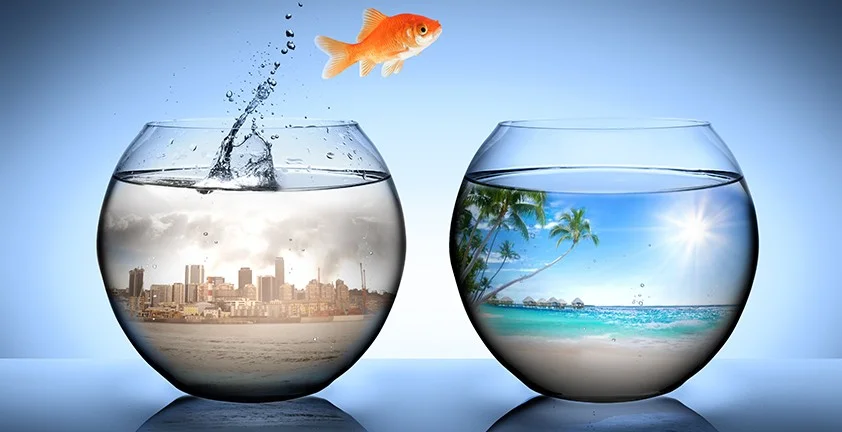 Как изменить себя внешне и внутренне и направить свою жизнь по новому курсу