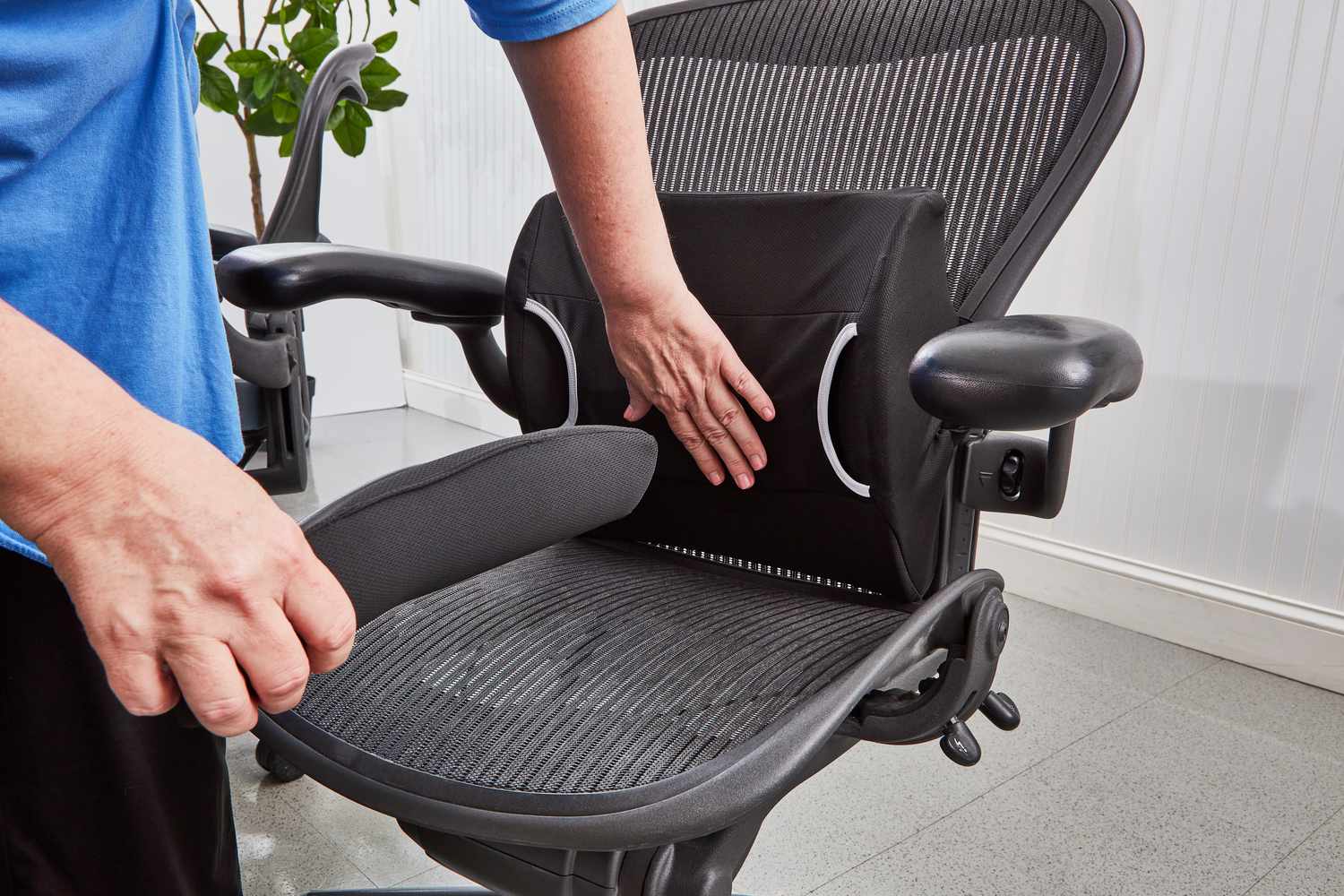 Top Most Popular Office Chair Cushion You Should Have in Your List