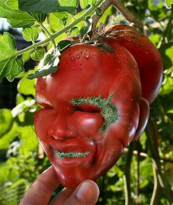 Новый чек лист самых популярных профессий в интернете в 2021 году.