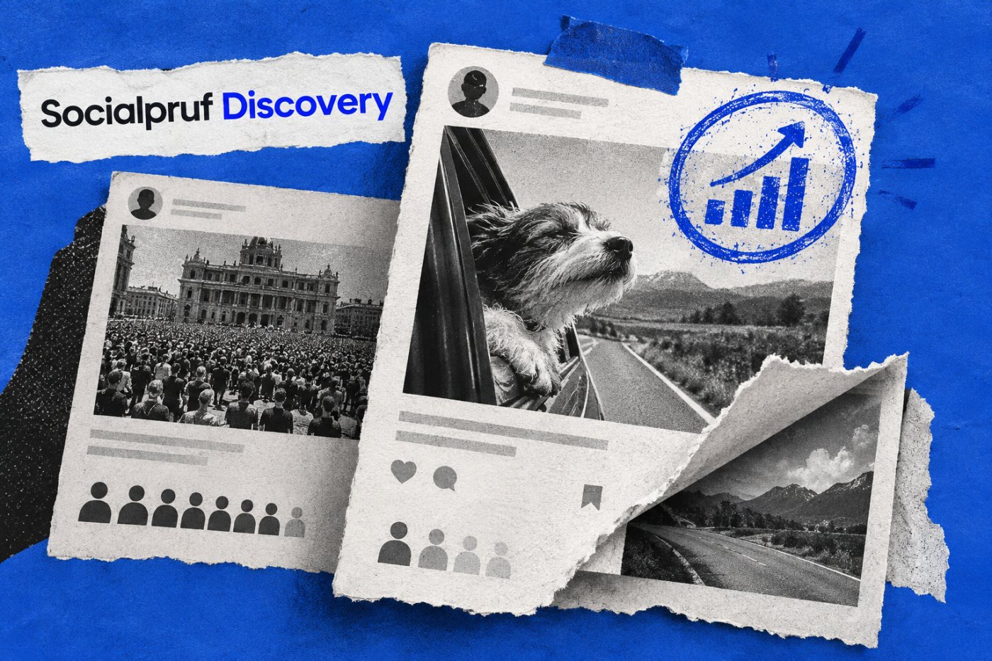 Socialpruf Discovery-তে বড় follower base-এর পাশাপাশি দ্রুত বাড়তে থাকা account-এর শক্তিশালী পোস্ট সামনে আসছে