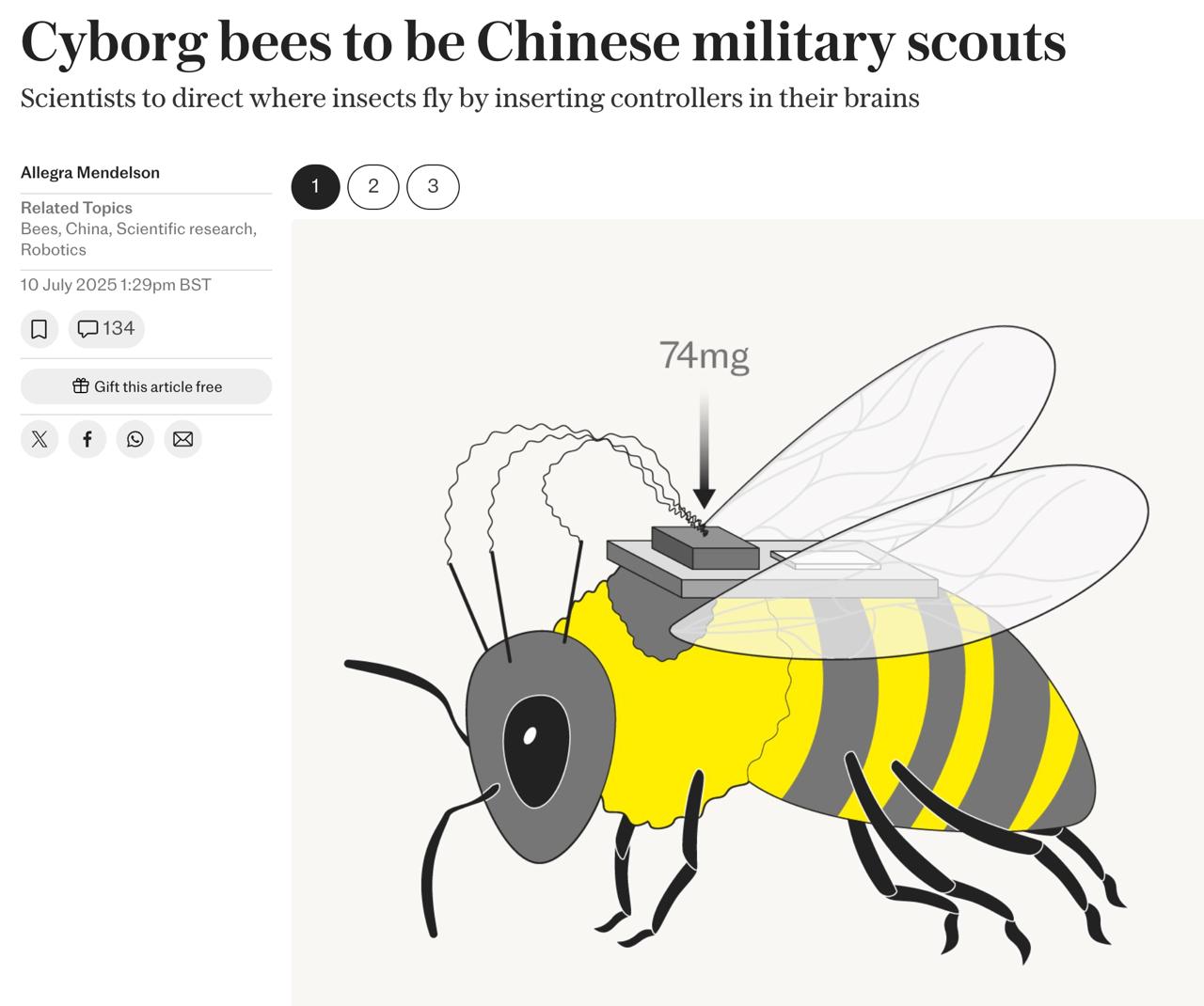 Chinese Scientists Develop Cyber-Bees: Real Insects with Brain Chips and Remote Control