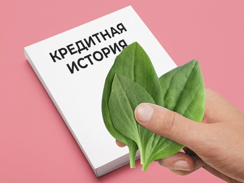 Как улучшить свою кредитную историю: обзор доступных способов изменить финансовую репутацию