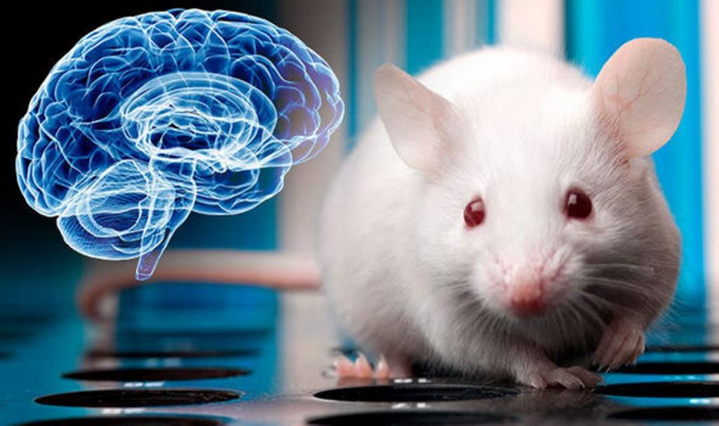 Scientists Use Nanoparticles to Remote Control Brains of Mice