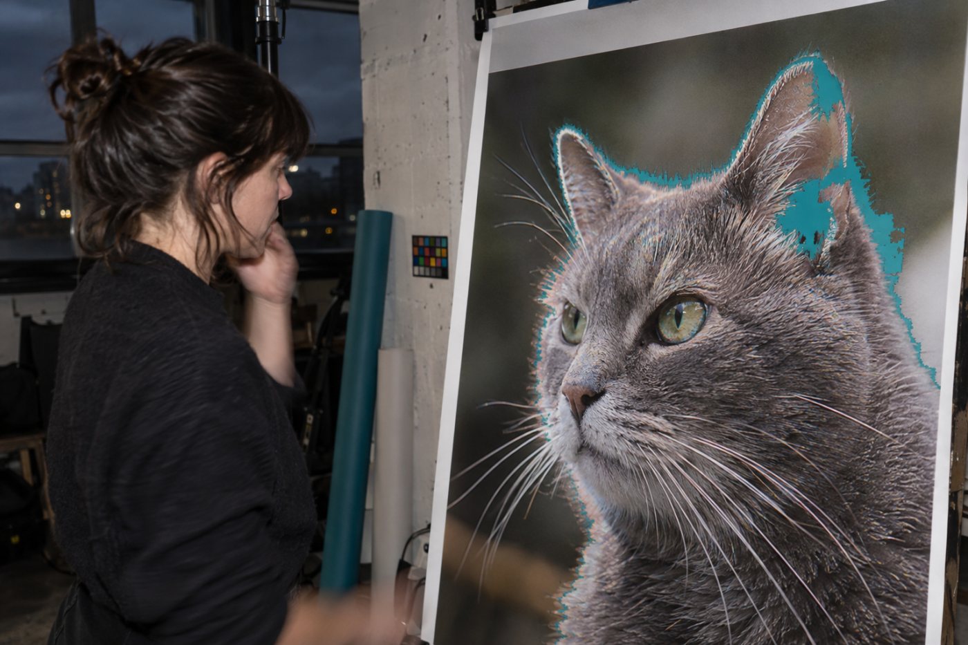 A cat photograph shows the sharpening and subject-masking problems reported in the LightCraft test.