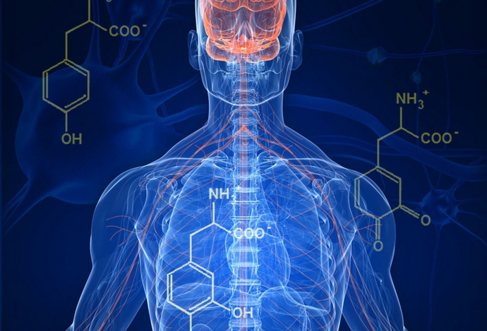 15 шагов: как сохранить дофаминовые рецепторы