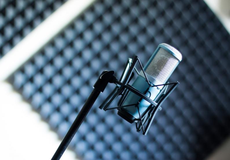 Want To Do A Professional Voice Over?