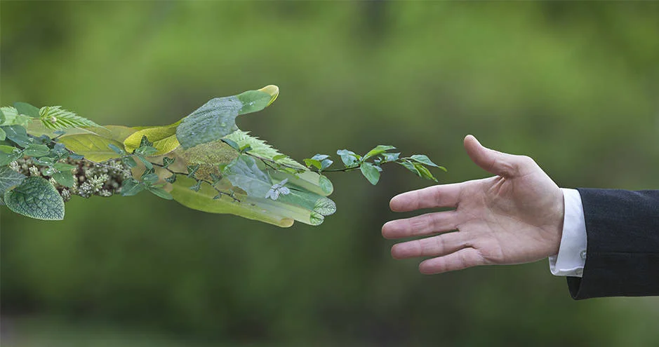 How to Incorporate Sustainability as a Business