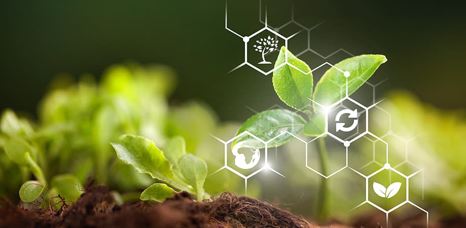 Uses of Big Data in Agriculture