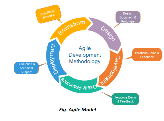 The 5 Principles of Agile Software Development Methods