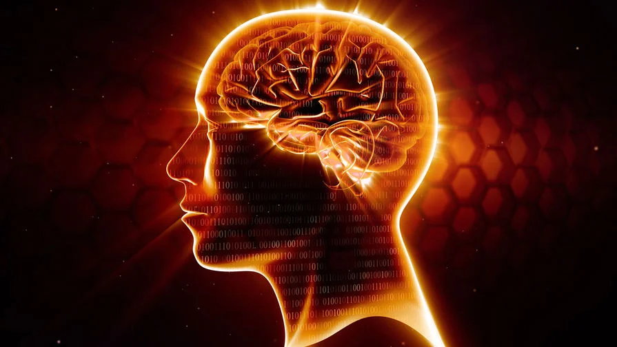 Уровень IQ у человека – что это такое, как его измерить и можно ли повысить показатель