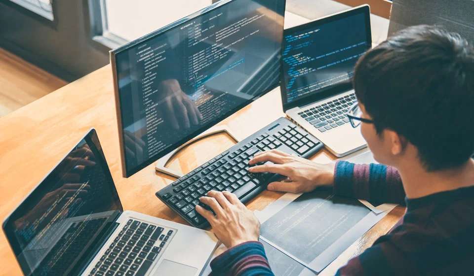 Сколько зарабатывают программисты в месяц и от чего зависит уровень дохода