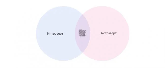 Кто такой амбиверт: характеристика психотипа, плюсы и минусы + подходящие профессии