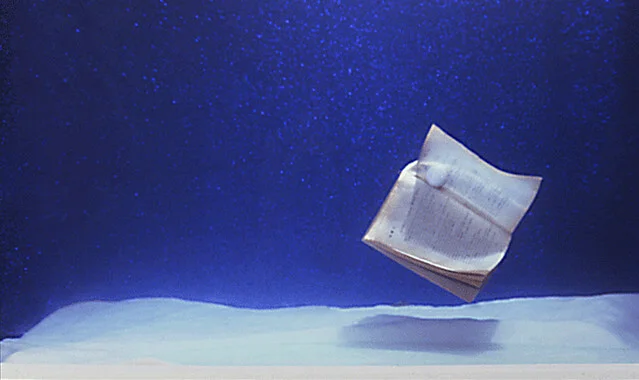 Вода в тексте: что это такое и как не превысить допустимую норму