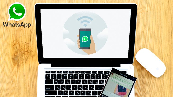WhatsApp для компьютера: как скачать, установить и использовать