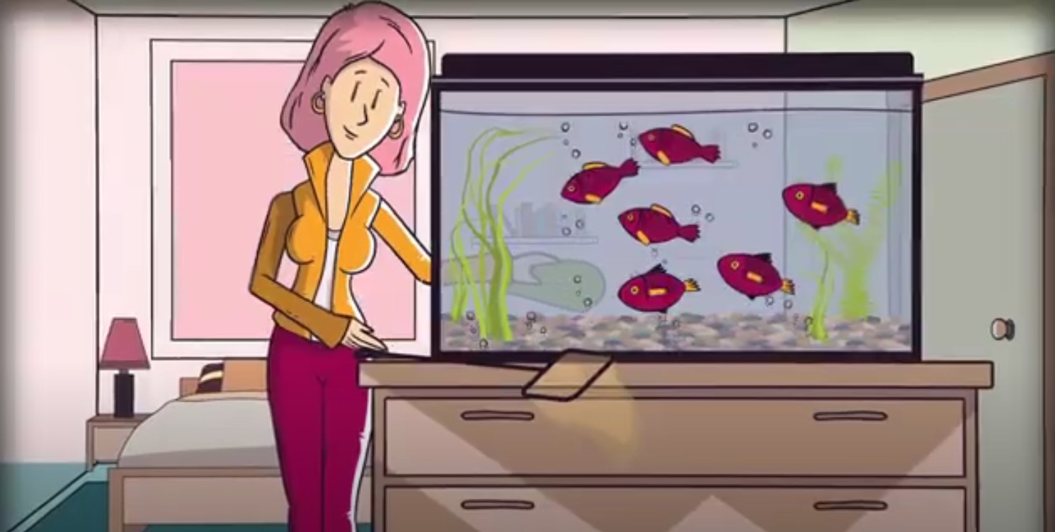 Свяжитесь с нами в Telegram: https://t.me/quasachats