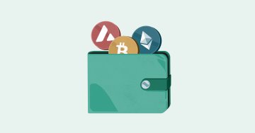 What are The Digital Wallets and Their Types?