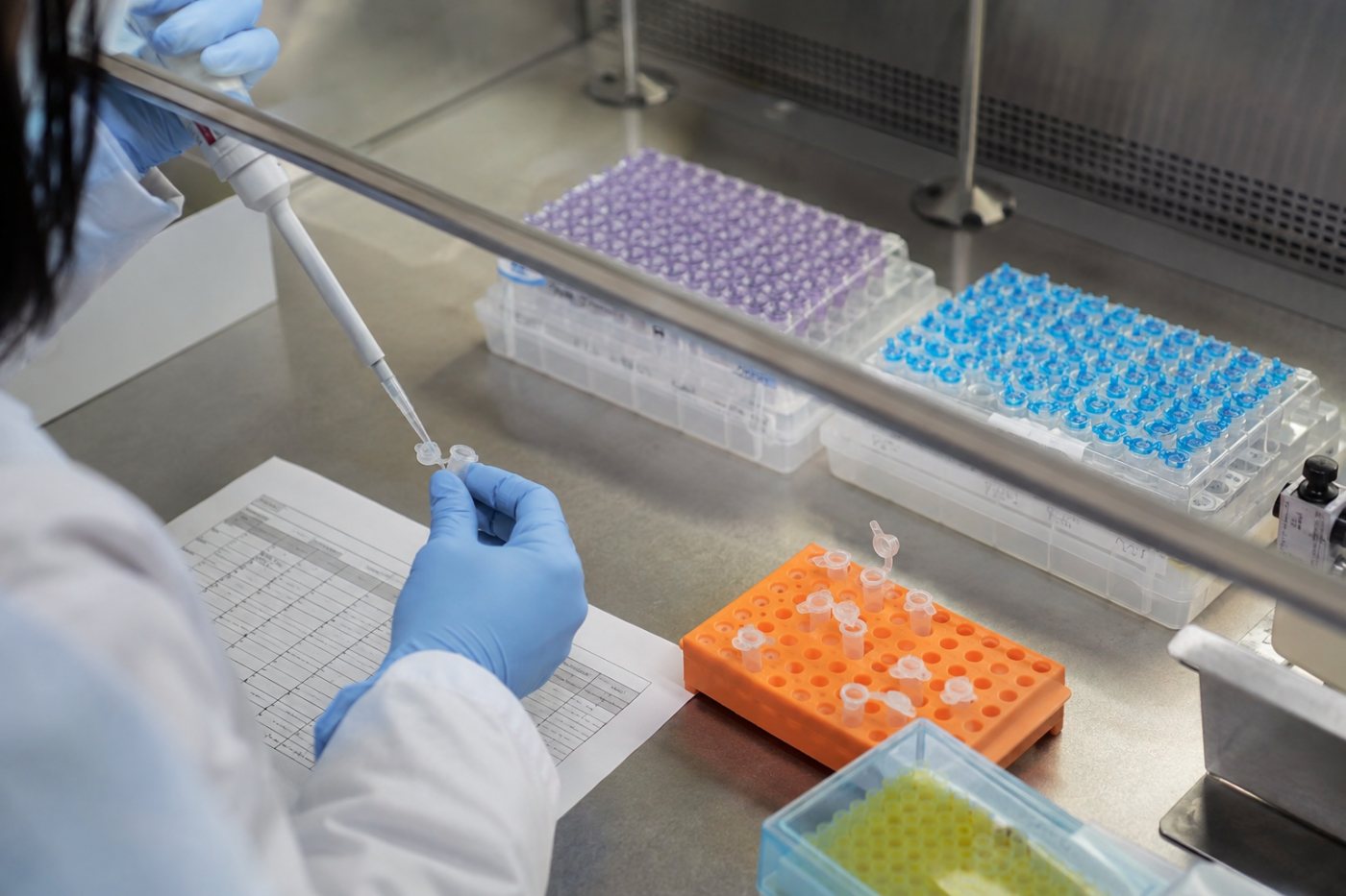 Data UK Biobank meningkatkan prediksi ketika sampel pelatihan Biobank Japan masih sangat kecil.