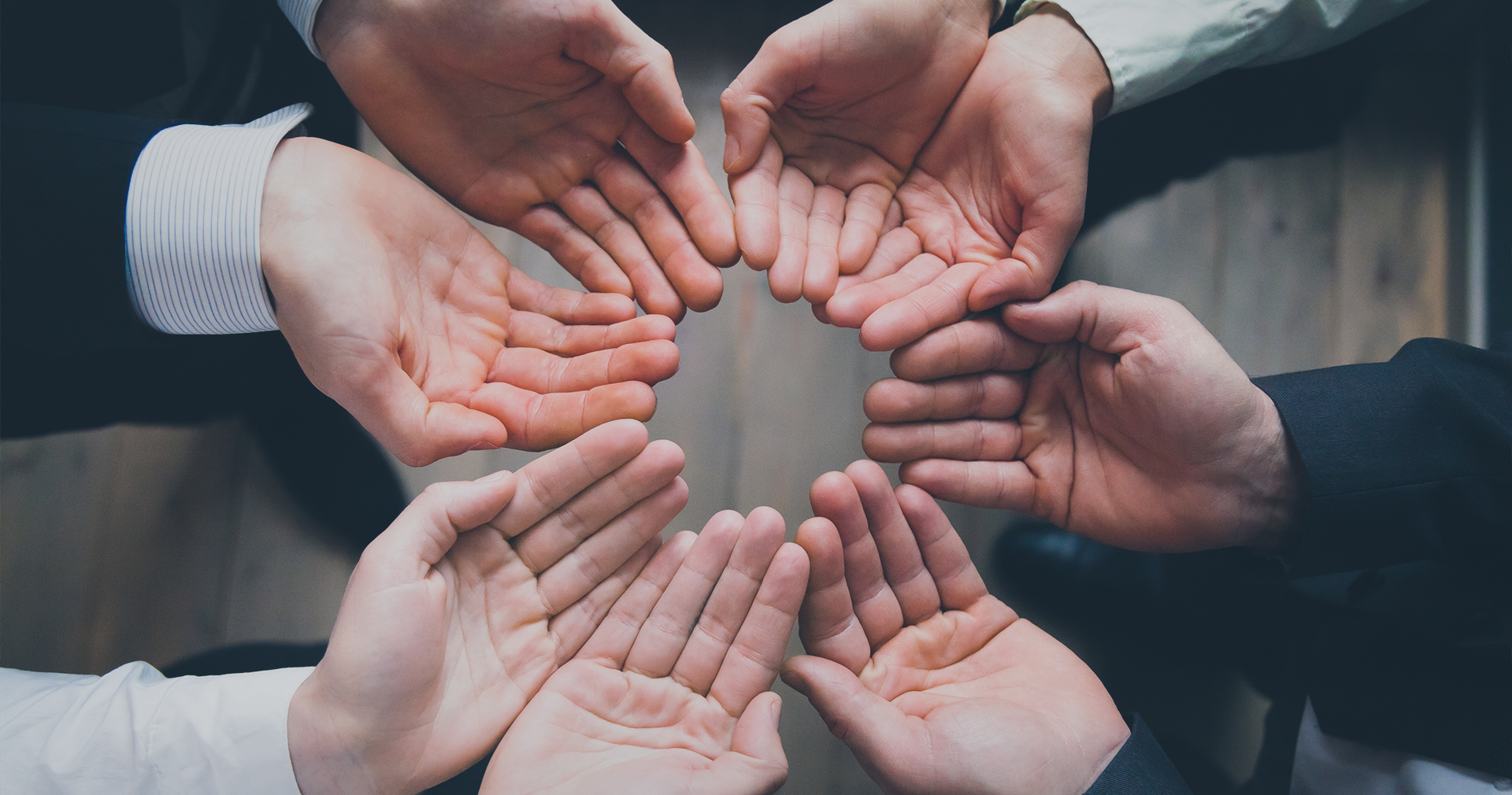 Благотворительный стартап: 7 бизнес-практик, которые сделали сервис помощи бездомным животным устойчивым