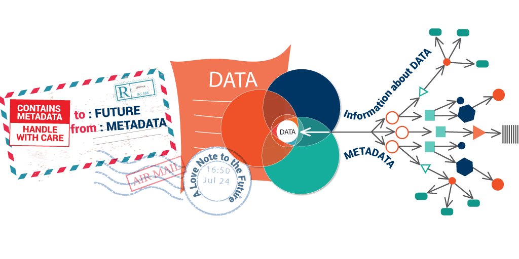 What Is Meta Data?