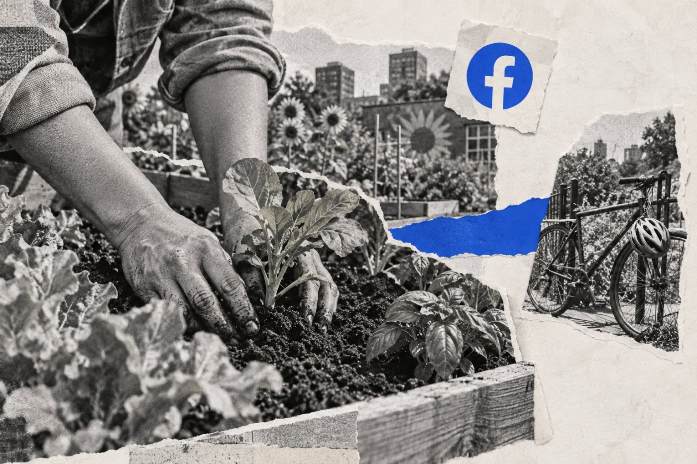 „Facebook“ rekomendacijose vienos temos turinys išryškėja, kai vartotojas nurodo, ką nori matyti dažniau.