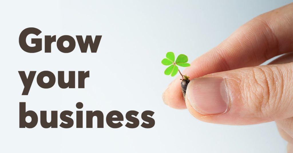 How to Grow The Business – Key Insights for Smooth Transition