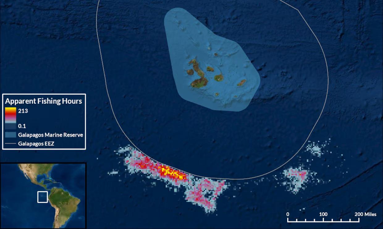 ? China's Shadow Fishing Fleet: The Hidden Global Crisis