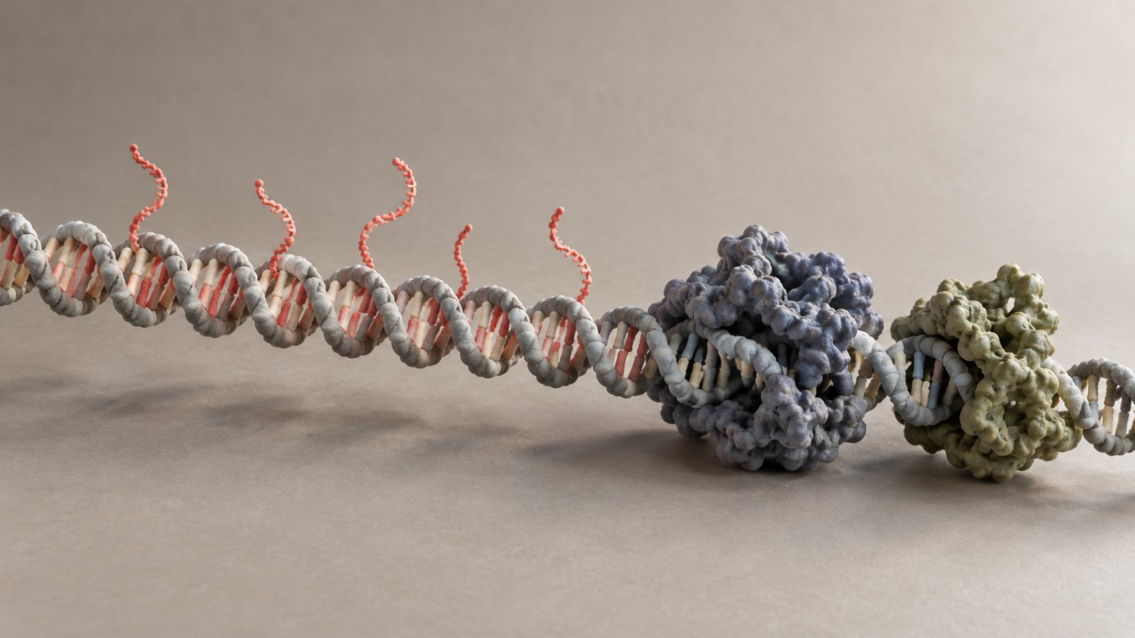 Claude znalazł układ podobny do CRISPR, ale jego funkcja pozostaje zagadką