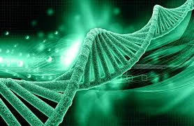 Careful about Health, your DNA can change if you are Doing late Night Work