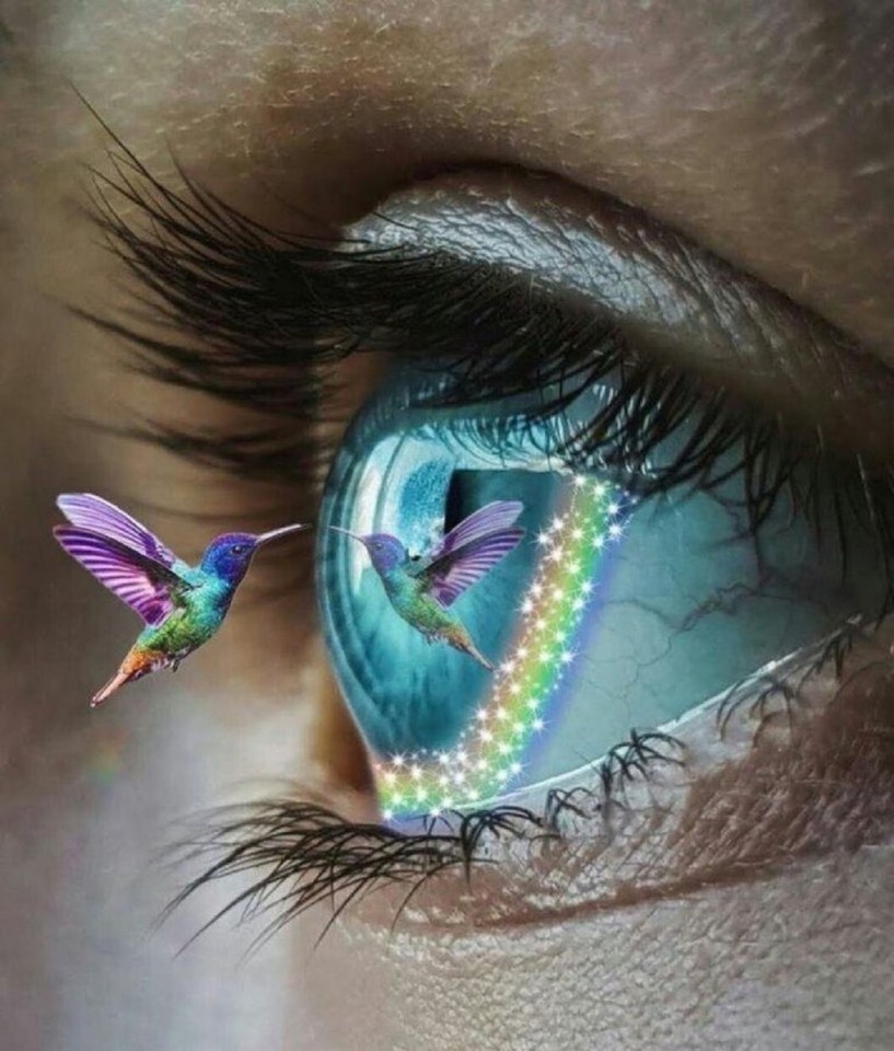 QUASA is The First Community-Owned NFT Platform