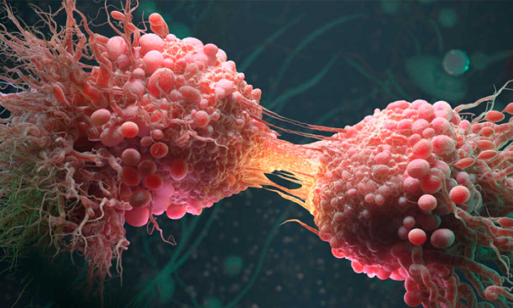 Scientist Injects Her Own Cancerous Tumor With Viruses She Grew in Lab