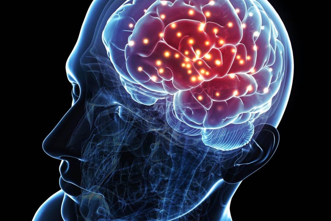 Что такое рефлекс?