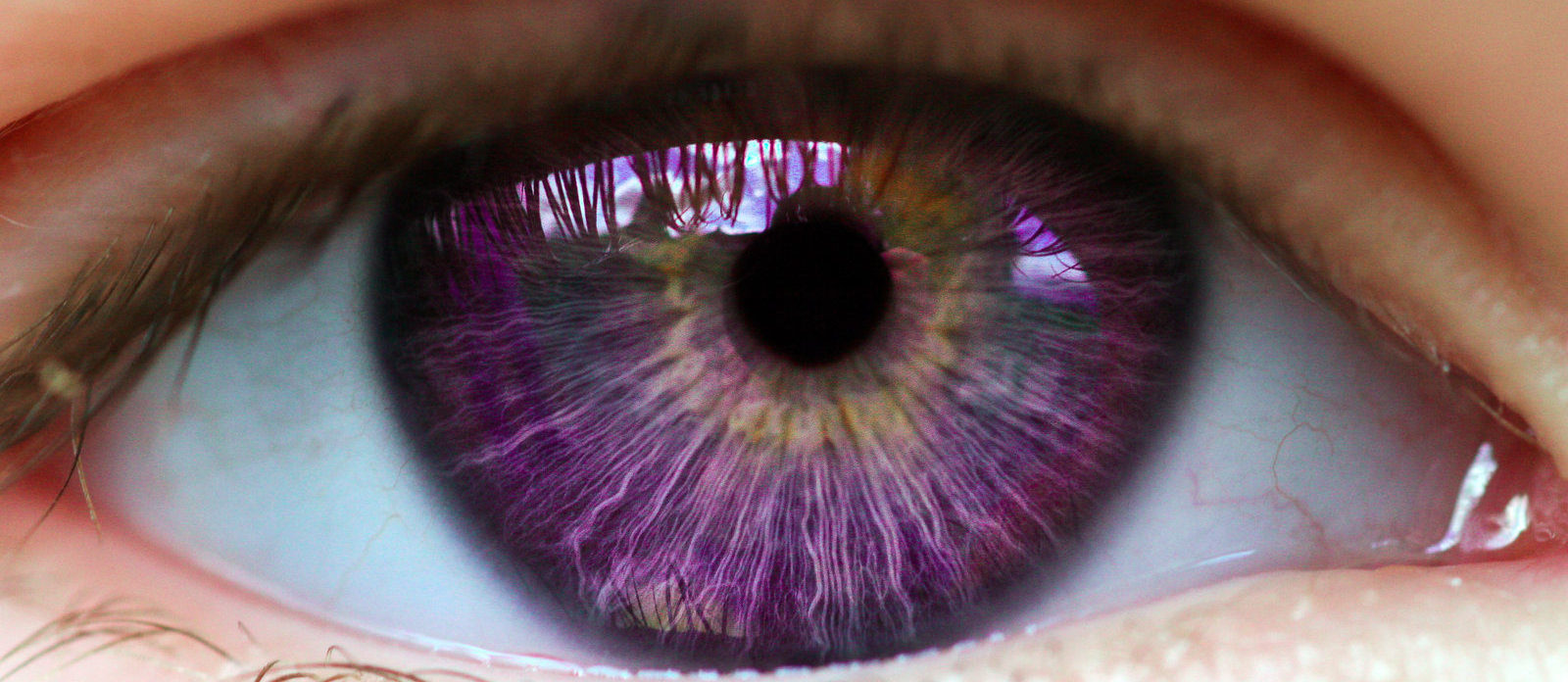 People Are Getting Their Eyeballs Tattooed